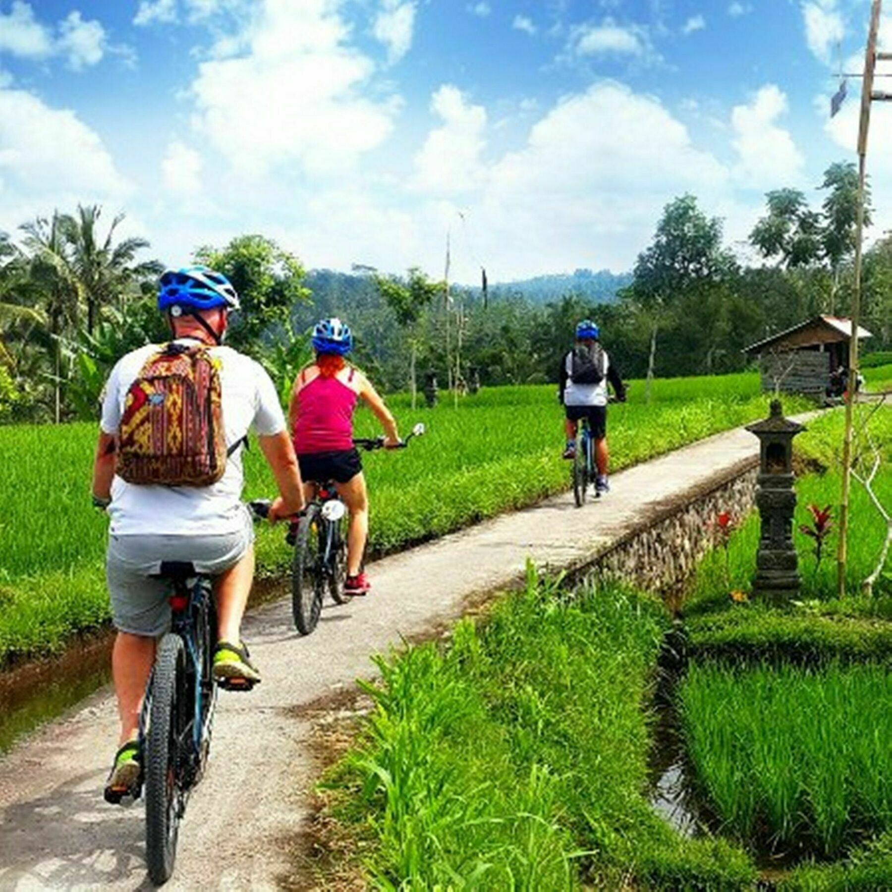 Omah D'Taman By Eps Hotel Ubud Exterior foto